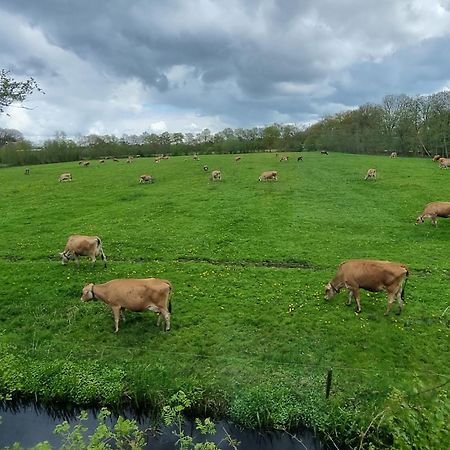 B&B In De Roos Noordbergum Exteriér fotografie